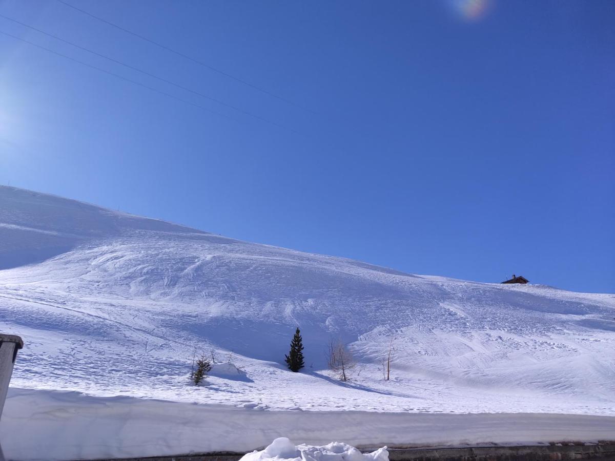 Black Lake Studios - Trepalle Livigno Zewnętrze zdjęcie